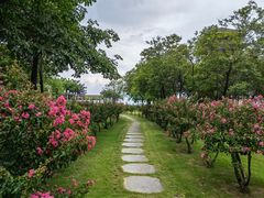 -大湾区中央湿地公园