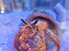 -欢乐海岸海洋奇梦馆