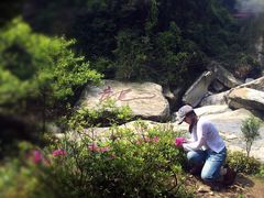 -庐山碧龙潭风景区