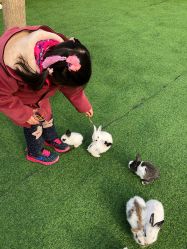 -萌宠亲子动物乐园(槐房万达店)