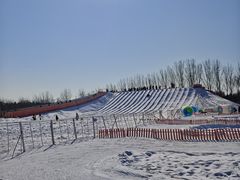 -青龙湖公园
