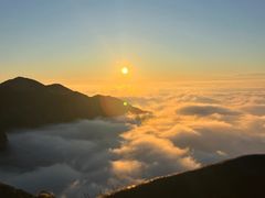 -万达广场(泰安泰山店)