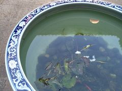 -石屏会馆