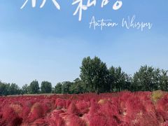 -汉长安城未央宫国家考古遗址公园