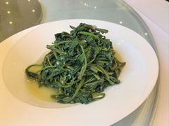 -马旺子酒楼