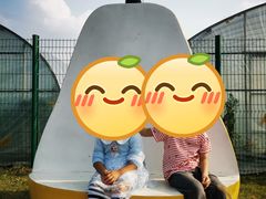-菊园百果园