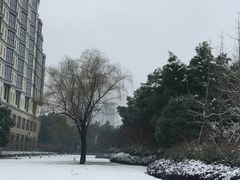 -常州环球恐龙城维景国际大酒店