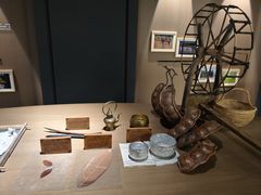 -西双版纳原始森林公园