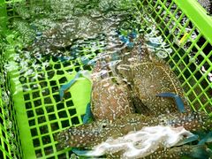 -班赞海鲜市场胖阿姨加工点