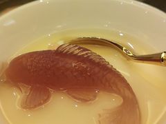 热情果布丁-甄御•海鲜新青岛菜(麦岛店)