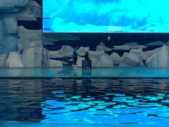-福州罗源湾海洋世界旅游区