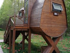 -黄海国家森林公园