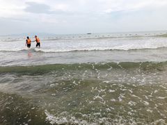 -浪琴湾度假村