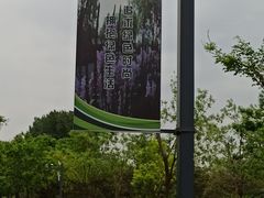 -东郊湿地公园