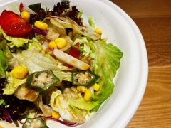 有机蔬菜沙拉-初居食屋日式料理(万象城购物中心店)