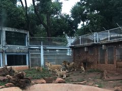 -昆明动物园