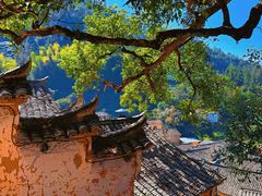 -杨家堂村