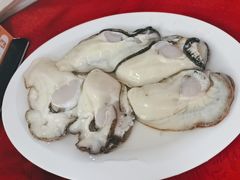 -花苑美食横琴生蚝火锅(拱北粤华路店)