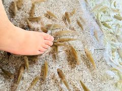 -明谷行馆·温泉