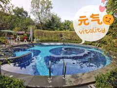 -美的鹭湖森林度假区