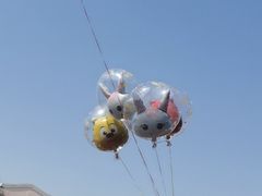 -郑州方特梦幻王国