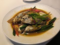-鑫悦楼煎蟹·16年海鲜大排档