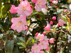 -闸弄口(地铁站)