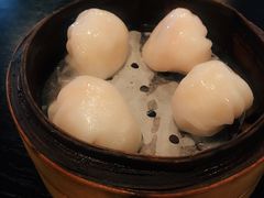 添运来虾饺皇-添运来(茶园奥园广场店)