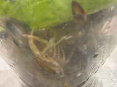 -活潑鲜跳(湖滨商业街店)