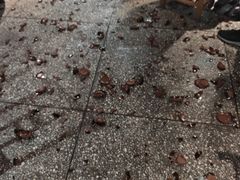 -巴人堂(女儿城店)