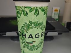 -华北理工大学(曹妃甸校区)