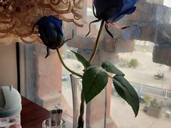 -杯子红牛排(西樵店)