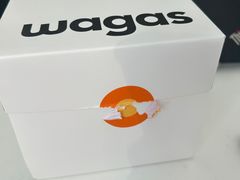 -Wagas沃歌斯(汇智店)
