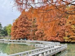 -白塘生态植物园