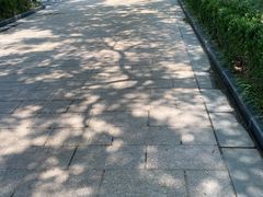 -新川办餐厅