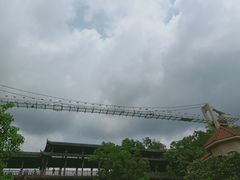 -客天下恐龙水晶玻璃桥