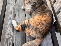 -昆承湖酒家·本帮农家菜