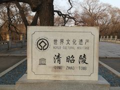 -北陵公园