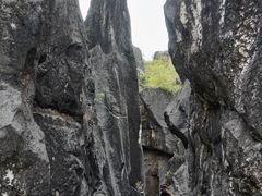 -玉石林风景区