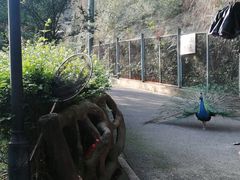 -黔灵山公园