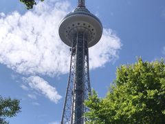 -龙塔
