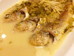 贴阁碧(百丈东路店)-贴阁碧(百丈东路店)
