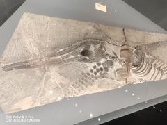 -贵州省博物馆(新馆)