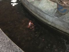 -夏家大锅台炖鱼馆