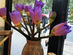 -囿面传统制面馆(中央路店)