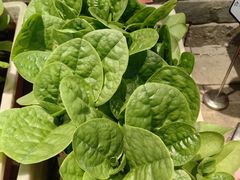 -印巷里主题餐厅(马鞍山店)