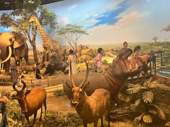 -陕西自然博物馆