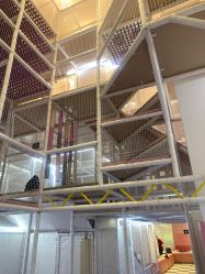 -奈尔宝·儿童乐园·亲子餐厅(华采天地店)