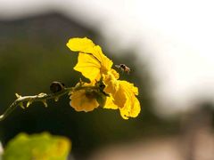 -交通银行(大连瓦房店铁东支行)