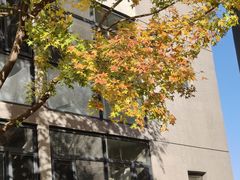 -中央戏剧学院(昌平校区)